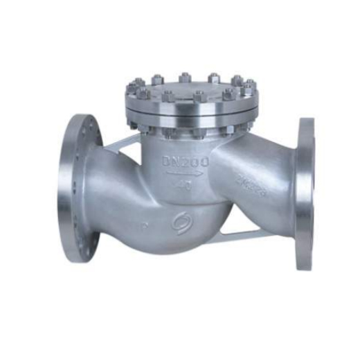 Lift Check Valve